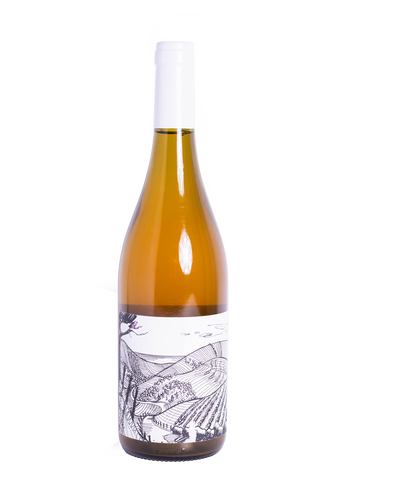 Pardalet 22, Artesano Vitners, Orange Wine, Vino de maceración , Uva Blanca con Maceración, Ambar, Vino Ambar, Vino Naranja, Vino Natural en México, Vino Natural Español, Vino Vivo, Vino Salvaje, Salvaje Vinos