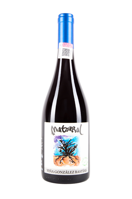 Matorral, Viña González Bastías, Vino Chileno, Vino Natural, Salvaje Vinos